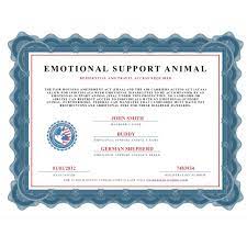 Recognize the benefits provided to you by an emotional support animal. Emotional Support Animal Certificate United Service Dog Emotional Support Animal Emotional Support Dog Emotional Support