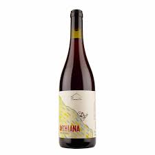 Image result for Nolletia arenosa