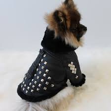 Genuine Leather Shearling Studded Luxury Dog Coat Dog Coats Dog Clothes Small Dog Coats