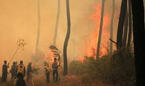 Jalan siliwangi no.52 kecamatan cilimus kabupaten kuningan. Luas Lahan Terbakar Di Gunung Ciremai 75 Hektare Republika Online