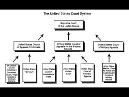 The Basic Structure Of Courts In The United States State