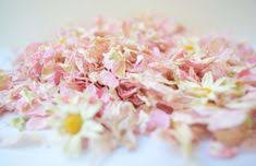 From £ 5.92 exc vat add to basket. 7 Best Dried Flower Petals Ideas Flower Petals Petals Dried Flowers