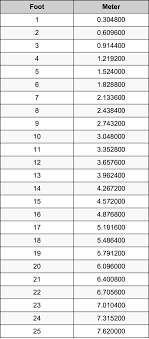 How Nmany Feet In A Meter