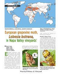 However, they have grown rapidly in a short time, and are now the third largest residential pest control company in the united states. Pdf European Grapevine Moth Lobesia Botrana In Napa Valley Vineyards
