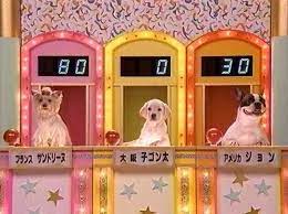 Pin On Likeable Things