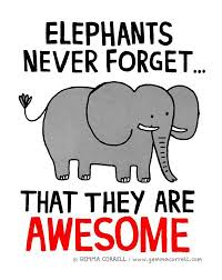 A play on the idea that elephants have great memories. Elephants Elephants Never Forget Elephant Quotes Elephant Lover
