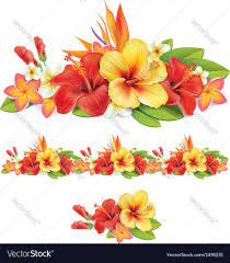 Garland Of Of Tropical Flowers Download A Free Preview Or High Quality Adobe Illustrator Ai Eps Pdf And High Reso Tropical Flowers Hibiscus Flowers Hibiscus