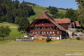 the swiss love red geraniums swiss house swiss chalet vernacular architecture