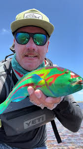 Exploring Surge Wrasse with Jacko Lucas