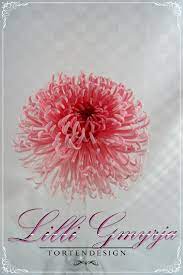 Flowers Spider Chrysanthemum Fondant Flower Tutorial Gum Paste Flowers Sugar Paste Flowers