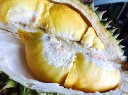 Buah tropis dari asia tenggara ini memiliki daging yang lembut, manis, dan bikin nagih. Bisakah Alergi Makan Durian