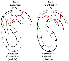 Image result for Pulse Pressure