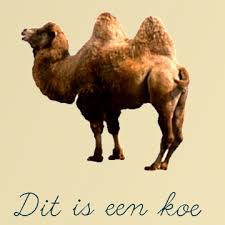 See more of khadija arib voorzitter tweede kamer on facebook. Moslims Vijfde Colonne Woordvoerders Diversen