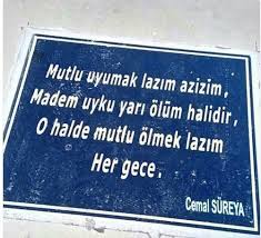 kimsesiz serseri kus adli kullanicinin quotes alinti soz ve siirler panosundaki pin ozlu sozler guzel soz alinti sozler