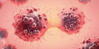 You could share a number of interests, and because of that, you could learn about some new. Cancer Cell Cell Press