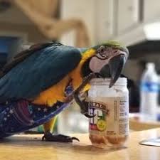 Explore other popular activities near you from over 7 million businesses with over 142 million reviews and opinions from yelpers. 48 Petting Zoo The Best In San Diego Ideas Zoo Animals Zoo San Diego