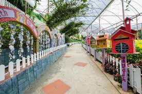 It's nice place to visit when come to cameron highlands!rm5 for entrance actually not expensive & i feel it's worth to pay.many beautiful views for photography!u can enjoy a high tea in. Lavender Garden Cameron Highlands Photos Free Royalty Free Stock Photos From Dreamstime