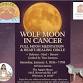 Wolf Moon in Cancer — Full Moon Meditation ... event in Wheaton, IL