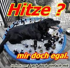 Check spelling or type a new query. á… Hitze Bilder Hitze Gb Pics Gbpicsonline
