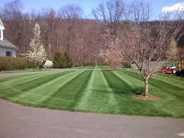 Full Service Lawn Care