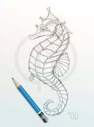 These cute, diverse animals are some of the most unique in the ocean. Realistic Cute Seahorse Drawing Novocom Top