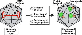 Image result for Blue 1997 AAV