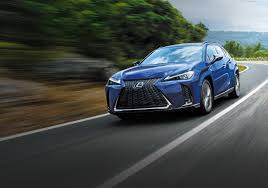 Image result for Cadmium Orange 2023 UX