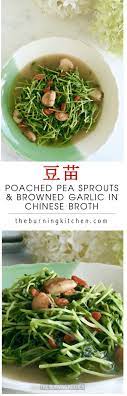 Stir Fried Garlic Dou Miao In Stock Recipe Asian Recipes Recipes Asian Cuisine