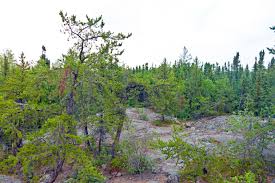 The canadian shield is home to some of the oldest (extinct) volcanoes in the world, over 150 volcanic belts have become deformed and worn down to almost flat plains. Northern Canadian Shield Taiga Wikipedia