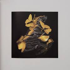 Daniel Brush: Gold Without Boundaries by Ralph Esmerian & Paul Theroux