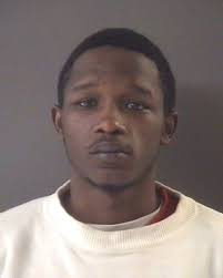 Muskegon County Circuit Court: Judge Hicks sentences