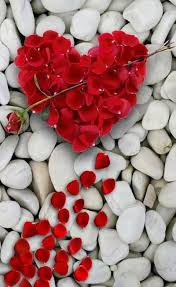 Pin Von Asmii Auf Rosas Schone Herzen Rotes Herz Herz Bilder