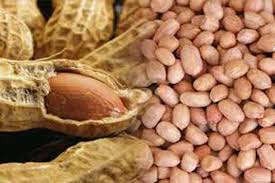 Telur, kacang, makanan, makanan ringan, kenari. Jangan Dibuang Kulit Ari Kacang Tanah Ternyata Berkhasiat Untuk Kesehatan Lifestyle Bisnis Com