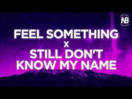 Still Don T Know My Name X Feel Something Lyrics Labrinth Bea Miller Youtube In 2020 Feelings My Name Is Lyrics