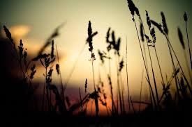Laptop Wallpaper Download Free Full Hd Wallpapers For Desktop Mobile Laptop In Any Laptop Wallpaper Full Hd Wallpaper Laptop Wallpaper Desktop Wallpapers