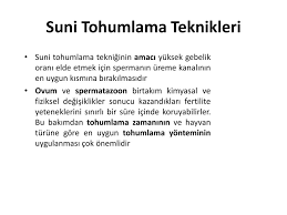 Yardimci Docent Dr Borga Tirpan Ppt Indir