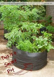 Smart Pots For Easy Garden Beds Easy Garden Container Gardening Urban Garden