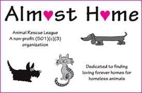 (located in texas) i work at a doggy daycare as a groomer. Almost Home Animal Rescue Renovations Near Completion City Of Southfield