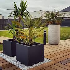 Pin On Jardin