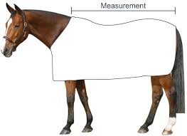 Rug Measurement Guide Western Shoppe