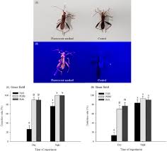 The better cotton standard system (bcss) is a holistic approach to sustainable cotton production which furthermore, bci will guide producers on how best to relate or integrate each individual the producer must adopt an integrated pest management programme that includes all of the following. Pest Management Science Vol 75 No 1
