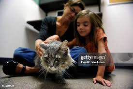 78 Robin Grossman Photos & High Res Pictures