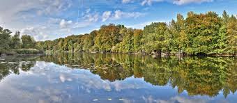 Fastenwandern Im Pfalzerwald Pfalzblick Wald Spa Resort