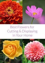 The advantage of annuals is that. Best Flowers For Cutting Displaying In Your Home Joy Us Garden