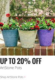 Buy the latest plants at amazon.in. Gardenshop2u Com Malaysia S Online Garden Shop