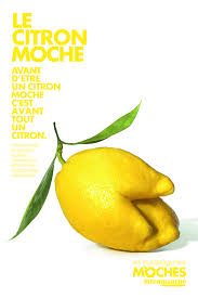 Les Fruits Legumes Moches De Marcel Debarquent Enfin En Tv Fruits Et Legumes Fruits Campagne Publicitaire
