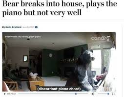 So if you want to see some funny animals acting like humans than check it out. 35 Times Animals Decided To Act Like Humans And It Got Documented In This Online Group Bored Panda