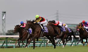 【着せ替え】 フッド サンシャイン・グレース 「『美しきは遠遠しきのみに限らず、近しきは愛おしむことに値せん』――指揮官様、こちらで 」 次回メンテナンス後、軽巡洋艦「ブラック・プリンス」着せ替えが追加ボイスあり仕様で登場予定! ã‚¹ãƒ—ãƒªãƒ³ã‚¿ãƒ¼ã‚ºã‚¹ãƒ†ãƒ¼ã‚¯ã‚¹ 2020 å›žé¡§ æ¡é•ã„ã®å‹ã¡é¦¬ã«èˆˆå¥® æ¬¡èµ°ã¸ã®ä¸€è¨€ãƒ¡ãƒ¢ã‚‚ ç«¶é¦¬äºˆæƒ³ã®ã‚­ãƒ³ã‚°ã‚¹ãƒãƒ¼ãƒ„