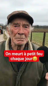 Bonjour, J'ai des génisses pleines à vendre de race simmental et  montbéliarde bio et quelques une sont sans corne en vêlage de printemps  secteur 59 (Fourmies) origine d'IA pour la grande majorité