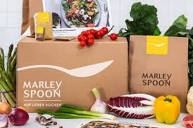Bilgisayar simgeleri logo, instagram logo, instagram logosu, çeşitli, metin, diğerleri png. Kommt Jetzt Der Marley Spoon Ipo Womoglich Deutsche Startups De